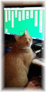 Wally:  "It's okay, Mom!  Daddy's just teaching me how to play Solitaire.  Don't take my picture!"