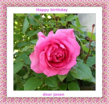 Solve růže pro Jason, Roses for Jason jigsaw puzzle online with 9 pieces