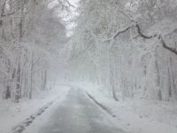 W. VA. Mountians 10/2012