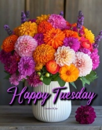 Good Morning - Happy Tuesday!