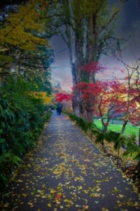 A stroll in Butchart Gardens in late November