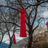 Red Dress Day