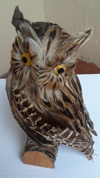 Small  Brown Western Screech  Owl  ( bought in a gift shop in Nevada.)