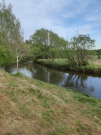 Skjern Å