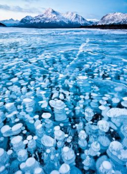 Frozen Bubbles in the Canadian Rockies