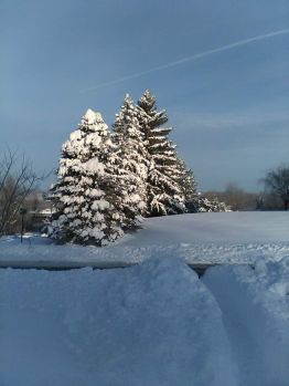 snow can be pretty after the driveway and sidewalk are cleared.
