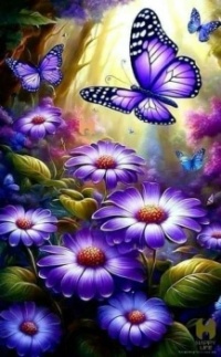 Pretty Purple butterfly and purple flowers....