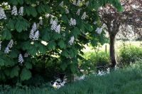 20180515_110925 (3)