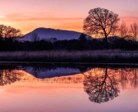 Mary's Peak Sunset