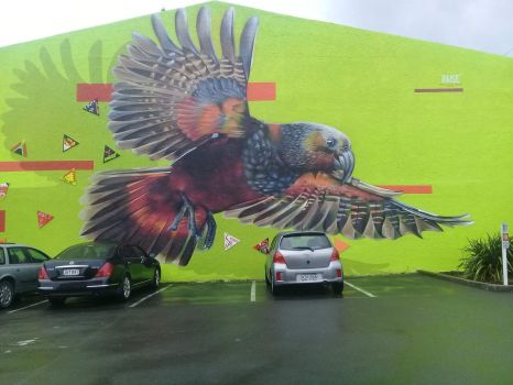 Mural of kea in Stoke