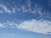 Clouds.