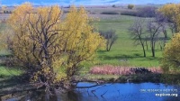 A pleasant Spring Afternoon April 23, 2025 Farm Roost Cam