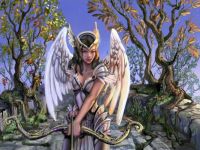 Angel-Warrior-fantasy-23124548-1024-768