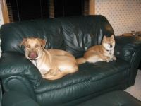 Victor and Kishi on the couch