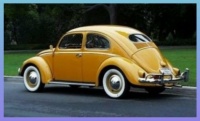 VW Beetle bug... Bandit.