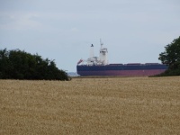 ship in the wheat