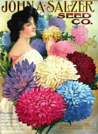 Vintage Poster (1,418)