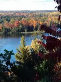 Fall Colors in Michigan