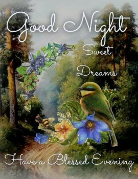 Solve Good Night - Sweet Dreams! jigsaw puzzle online with 63 pieces