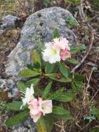 in the mountains