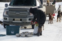 Sled Dog Meal Stop 2