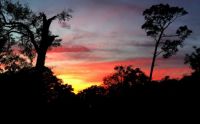 Sunset in Williston, FL