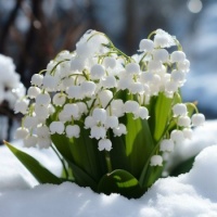 Flowers for today :-)