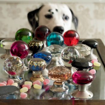 Door knobs, Candy and a Dog
