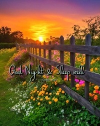 Good Night - Sleep Well