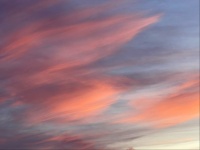 Pink Clouds