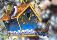 Birds