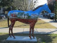 Ocala, FL horse #1