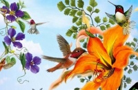 Hummingbirds (#3)