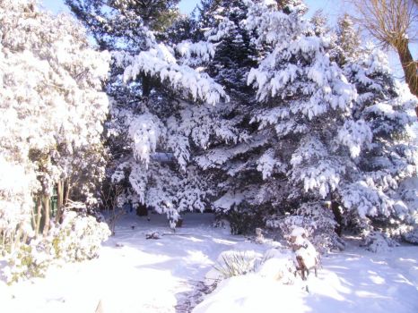 2013-02-09 Snow Day