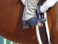 Riding Boot in Stirrup