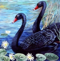 Black Swans #1