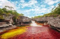 Cano Cristales River, Columbia