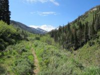 The Trail Ahead
