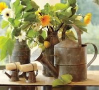 old tin watering can and cream cans
