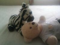 Zebra kisses Madison