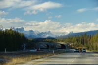 Banff Park Wildlife Overpass
