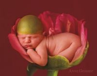Baby in Tulip