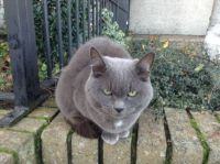 You Lookin' at Me?!