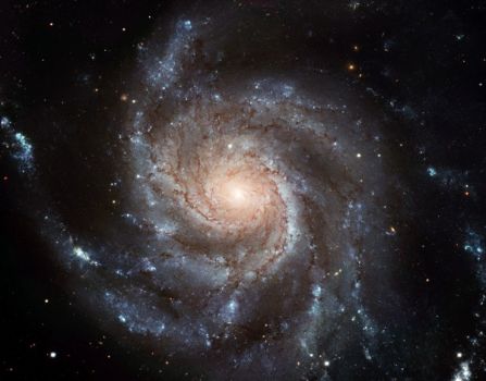 gigantic-pinwheel Galaxy