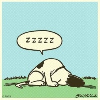 When you miss your midmorning nap! 😴