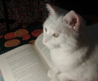Is it a good book Momma...;)