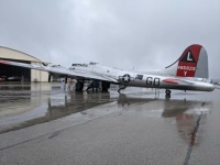 Yankee Lady 2