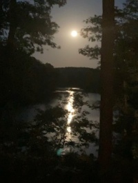 Scenic Moon