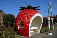 Strawberry Bus Stop