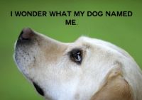 Good Question